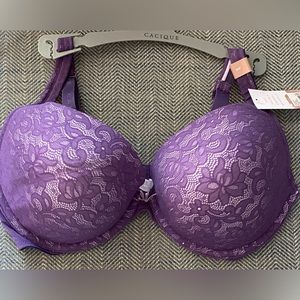 Cacique Bra. Size 36F. Brand New